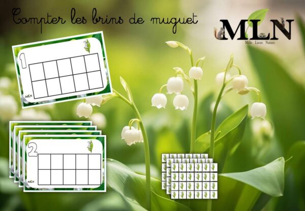 Compter les brins de muguet