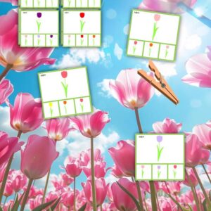 Cartes à pinces Couleurs de tulipe