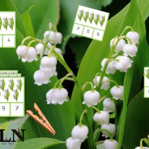 Cartes à pinces muguet