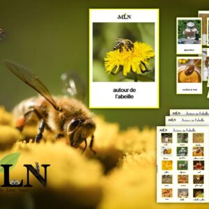 Autour de l'abeille cursif