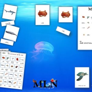 Pack les animaux de la mer cursif