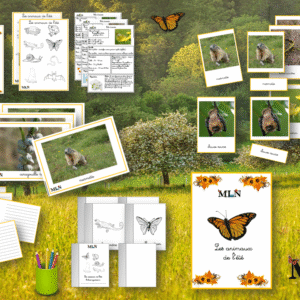 Les animaux de l'été SCRIPT