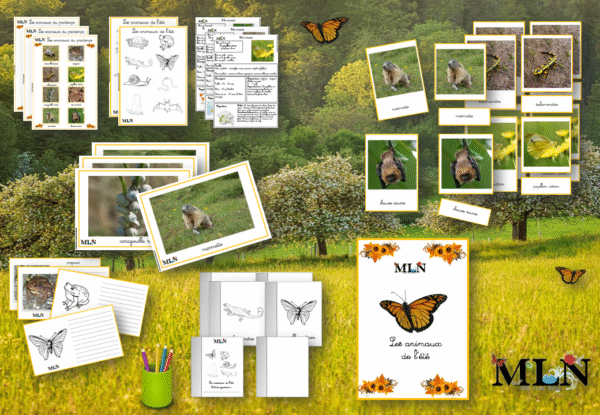 Les animaux de l'été SCRIPT