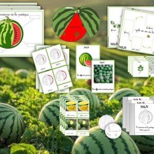 Dossier La pastèque cursif