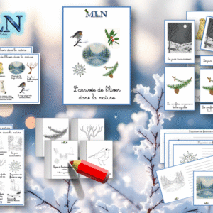L'arrivée de l'hiver dans la nature SCRIPT