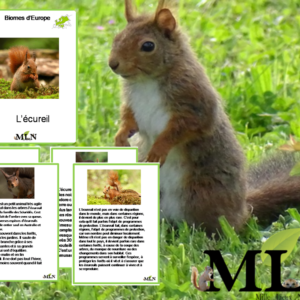 Livret L'écureuil cursif