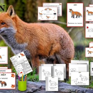 Dossier Le renard roux cursif