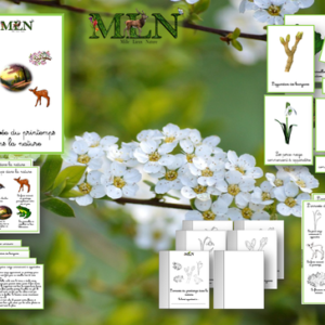 L’arrivée du printemps dans la nature cursif