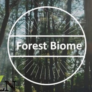 Forest biome