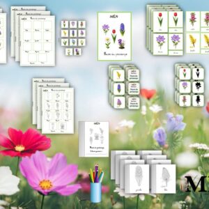 Pack Les fleurs du printemps SCRIPT