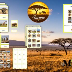 Pack Les animaux de la savane africaine cursif