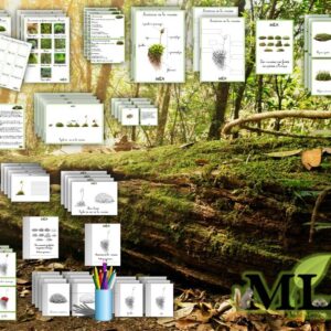 Dossier La mousse SCRIPT