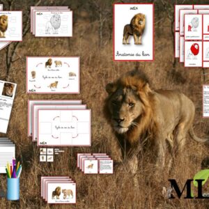 Dossier Le lion SCRIPT