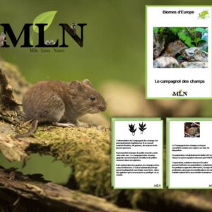 Livret Le campagnol des champs SCRIPT