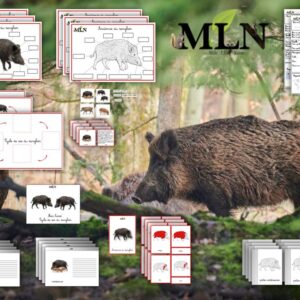 Dossier Le sanglier SCRIPT