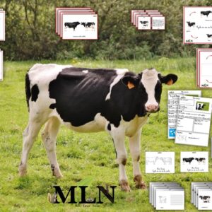 Dossier La vache SCRIPT