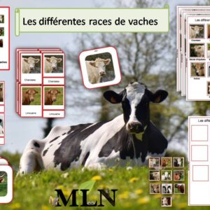 Pack Les différentes races de vaches cursif