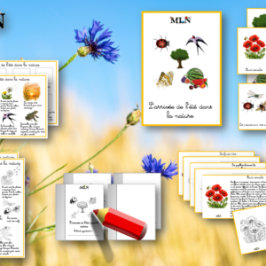 L'arrivée de l'été dans la nature SCRIPT