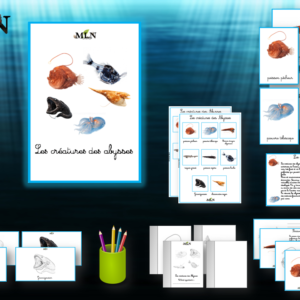 Les créatures des abysses SCRIPT