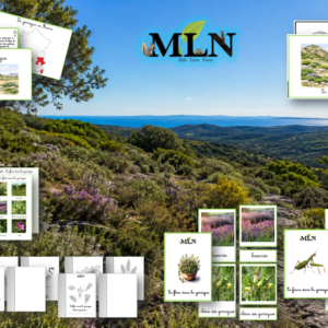 Dossier La garrigue SCRIPT