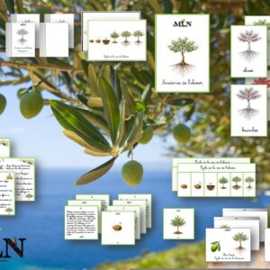 Dossier L'olivier SCRIPT