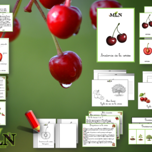 Dossier La cerise SCRIPT