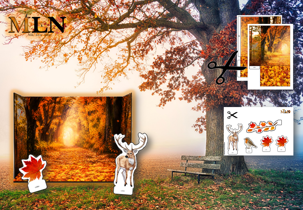 La forêt d’automne – Décor 3D à fabriquer