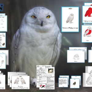 Dossier Harfang des neiges cursif